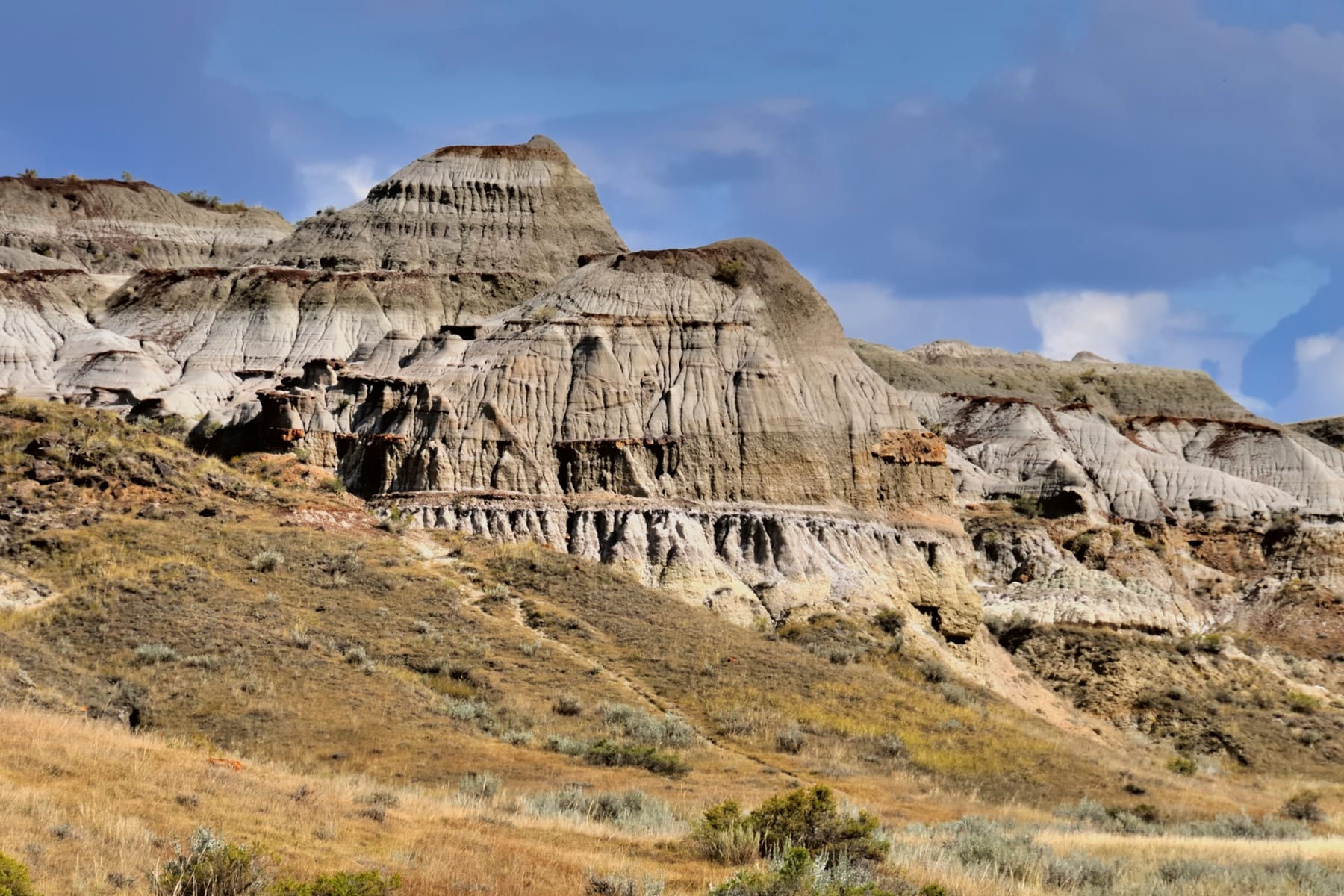 Dinosaur Provincial Park in Brooks, Canada