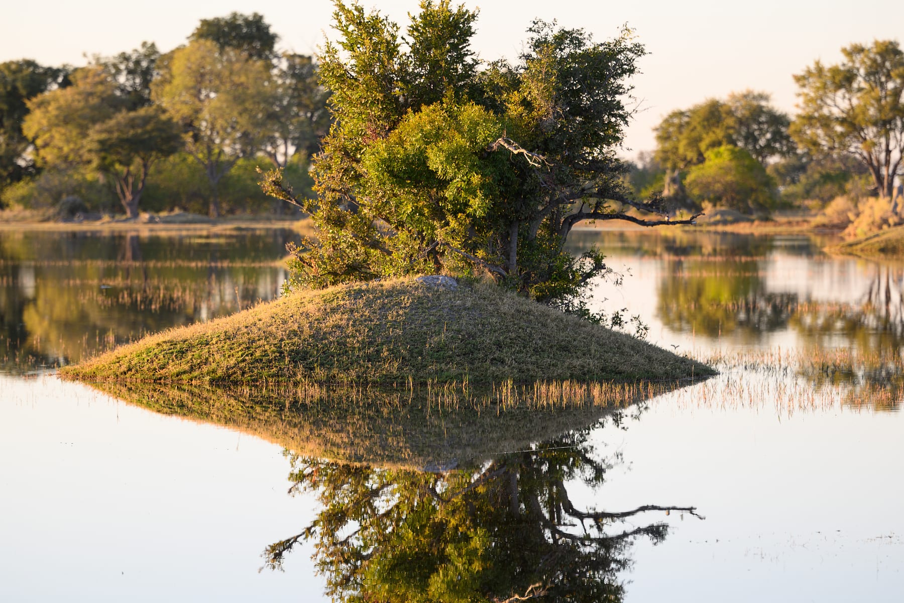 Okavango Delta in Maun, Botswana