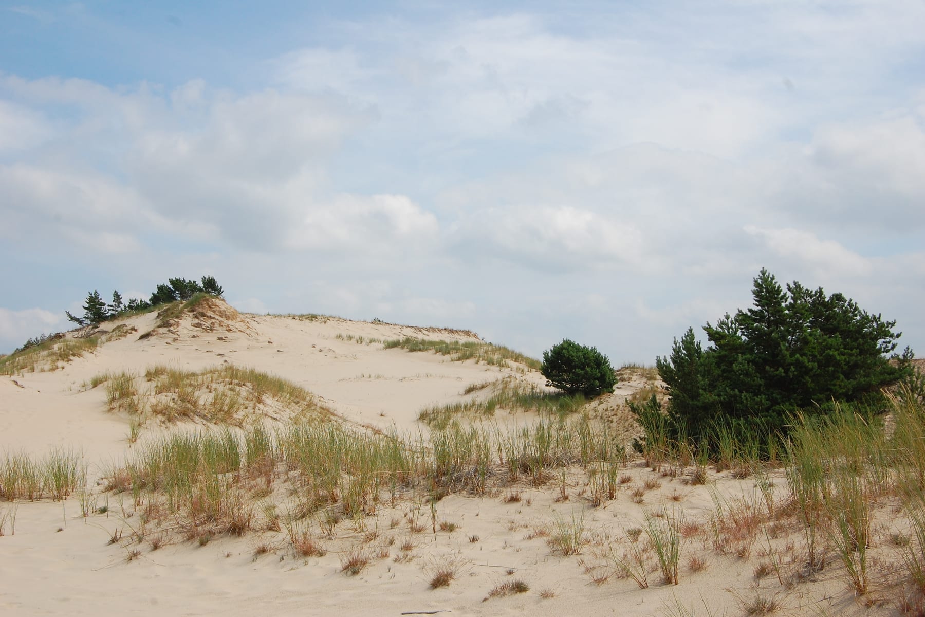 Slowinski National Park in Leba, Poland