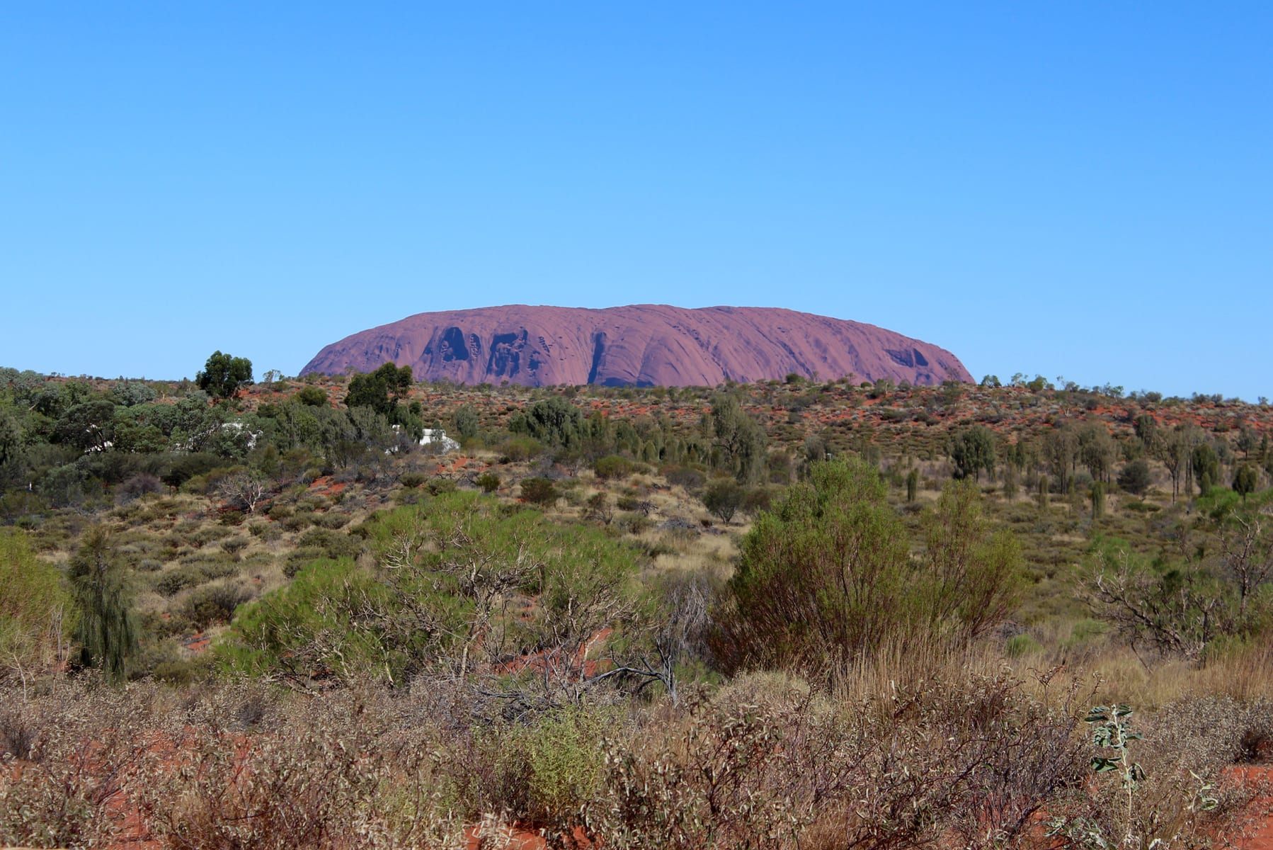 Uluru in Northern Territory, Australia