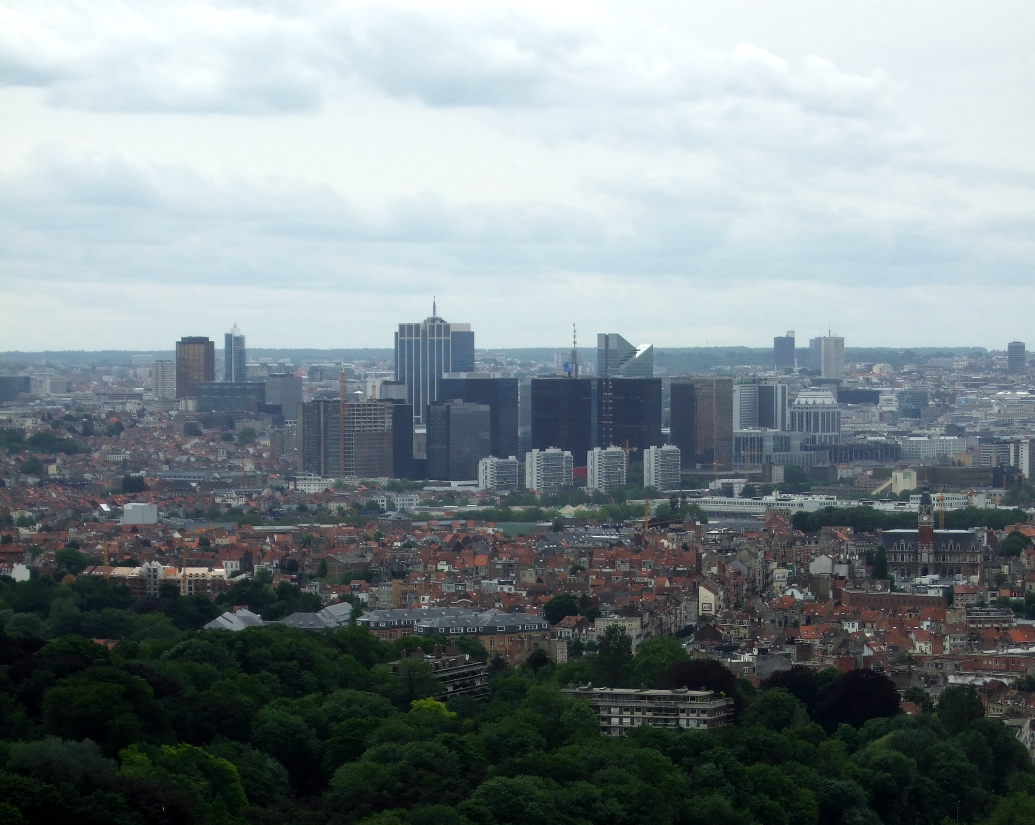 Wide Brussels skyline from an elevated viewpoint