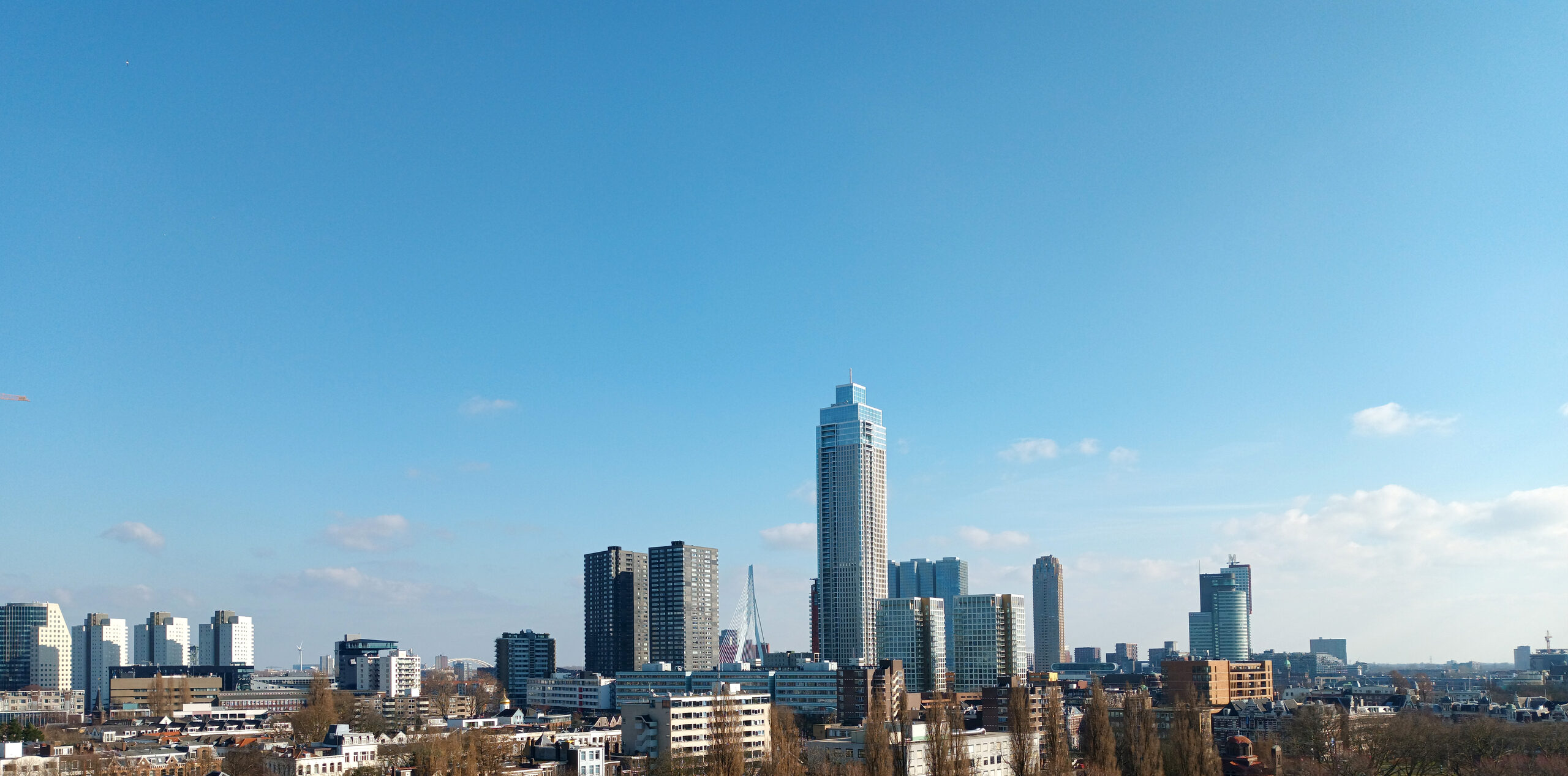 Rotterdam skyline with high-rises and the Erasmus Bridge
