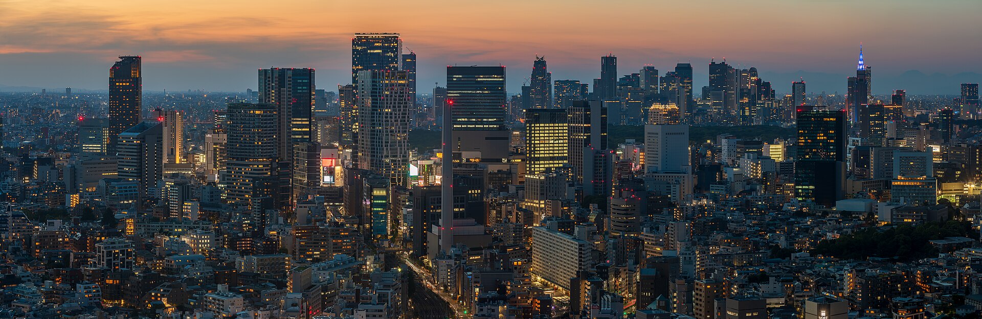 Dusk skyline over Shibuya and Shinjuku seen from Yebisu Garden Place Tower in Tokyo