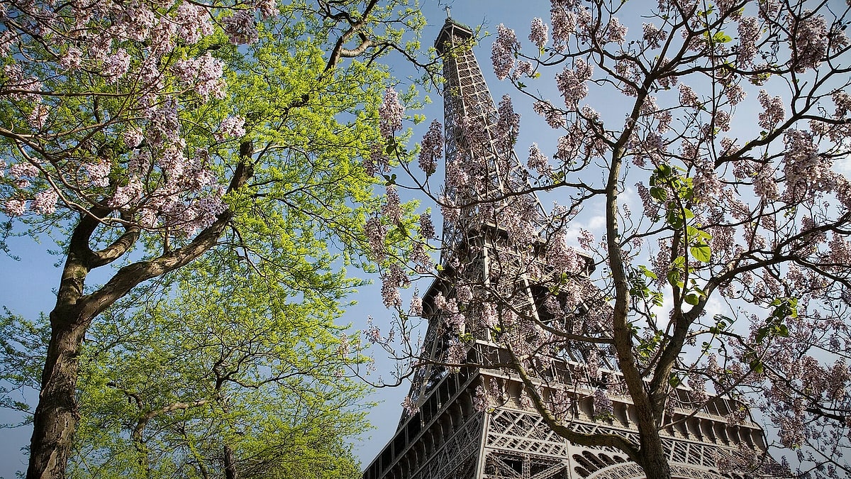 The Eiffel Tower rising above Paris in spring, France