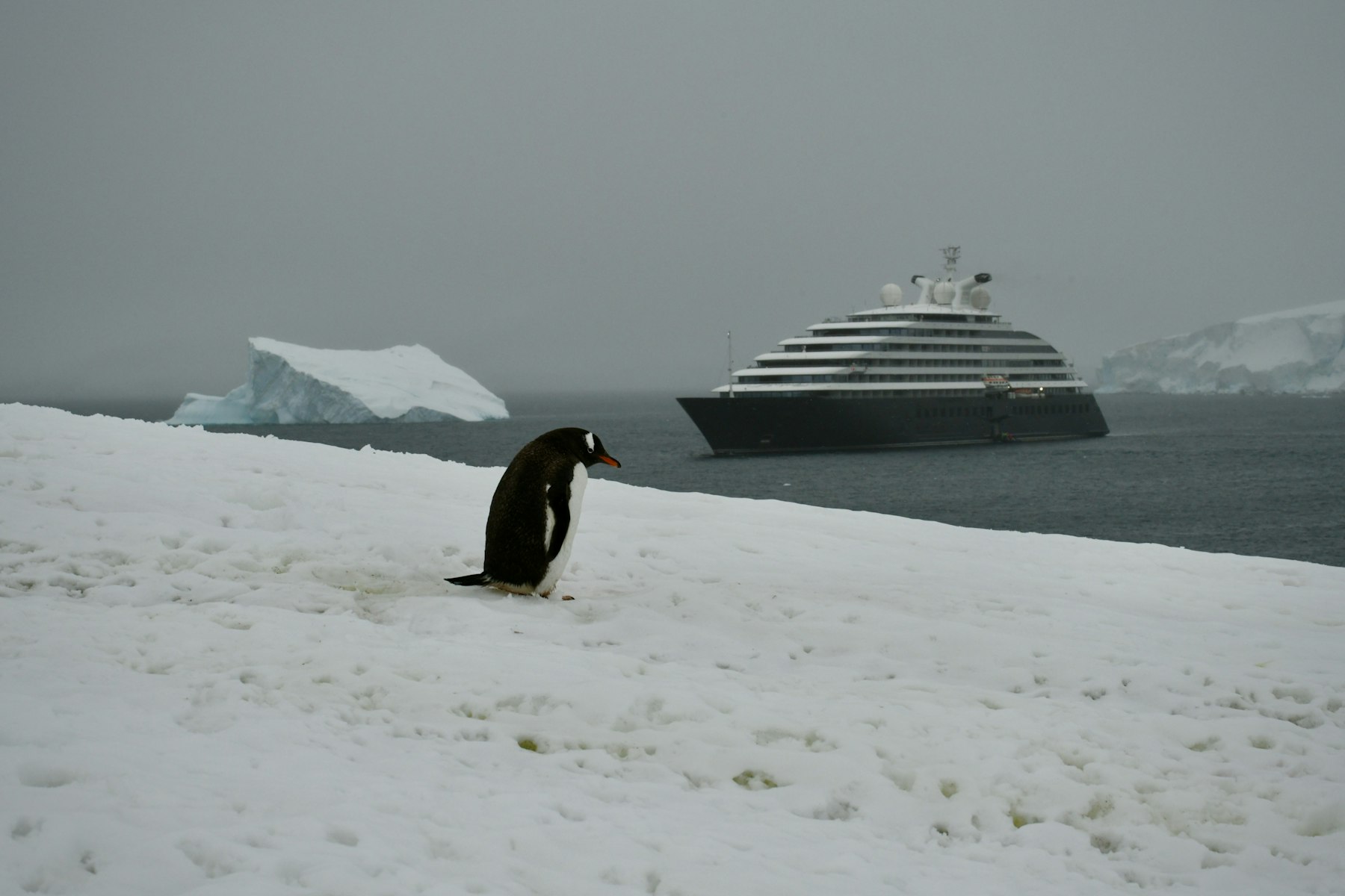 The Last Frontier: What It's Really Like to Visit Antarctica