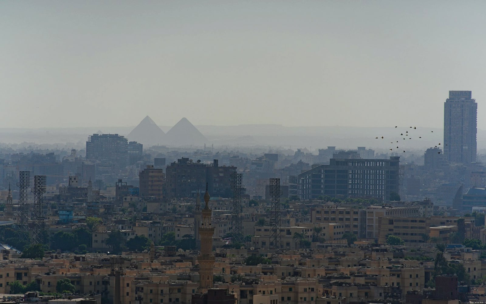 Things to Do in Cairo: Pyramids, Nile, and Ancient Egypt Guide