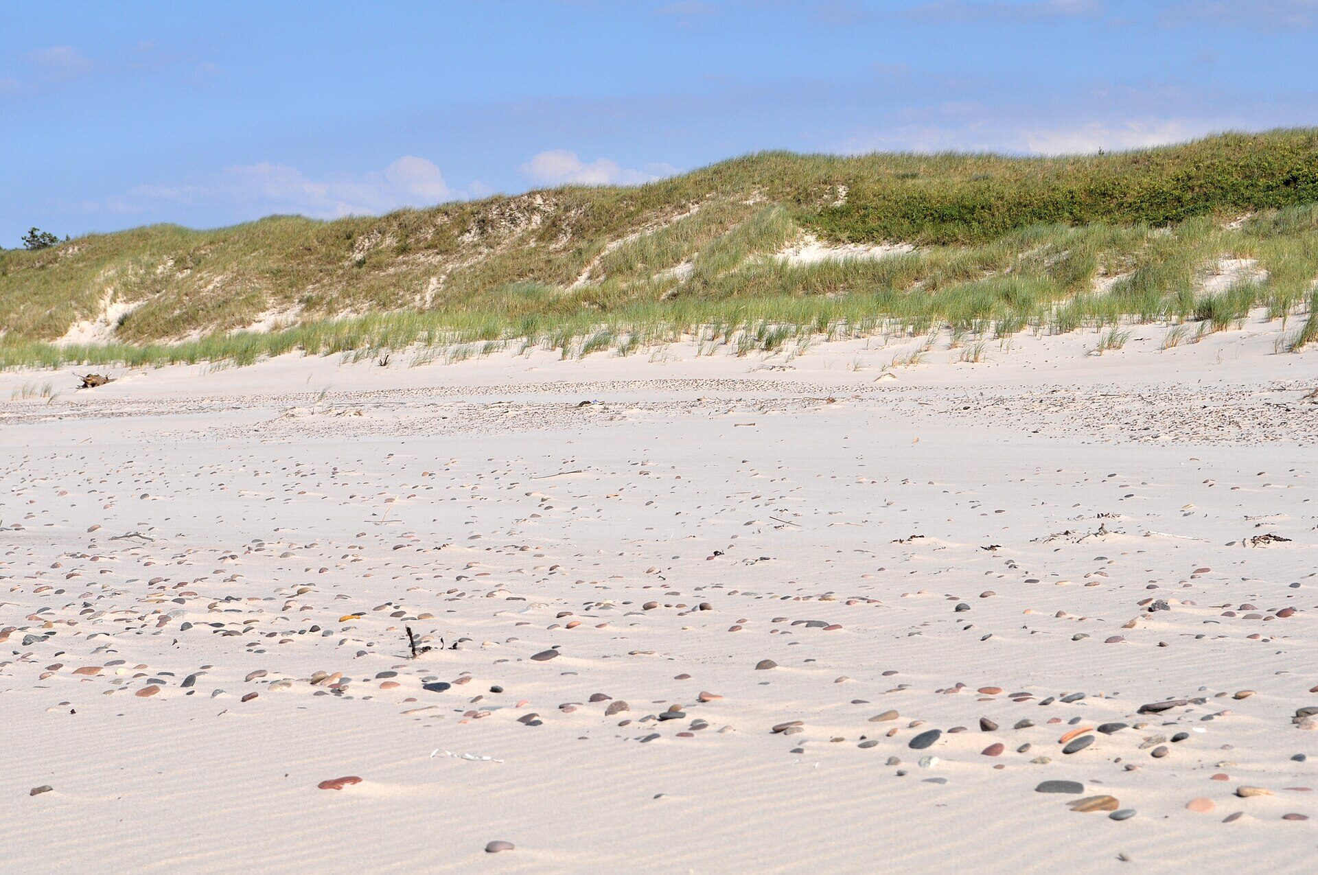 White sand and low dunes at Czołpino Beach in Poland