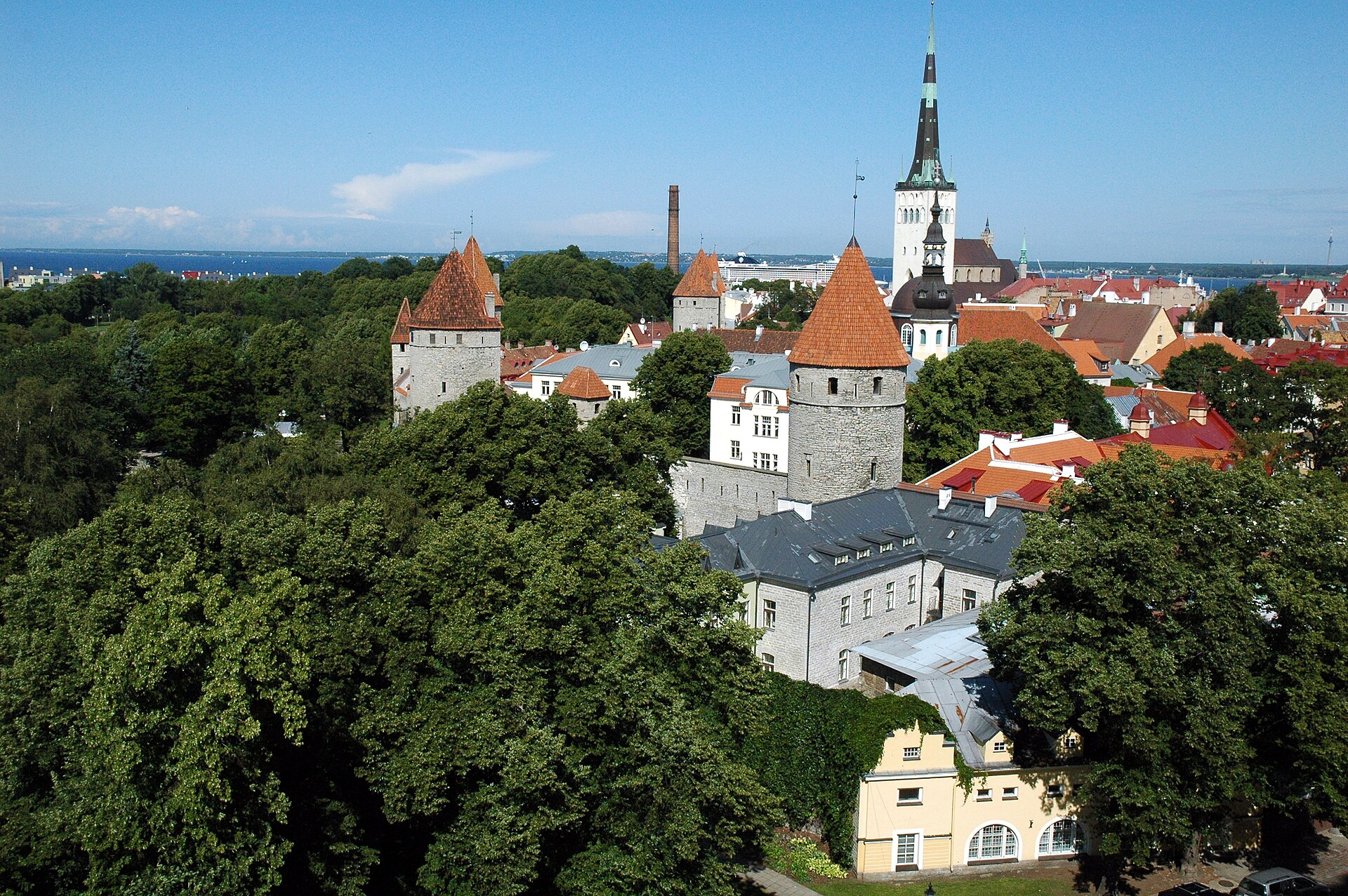 Tallinn Old Town towers and red roofs above summer greenery