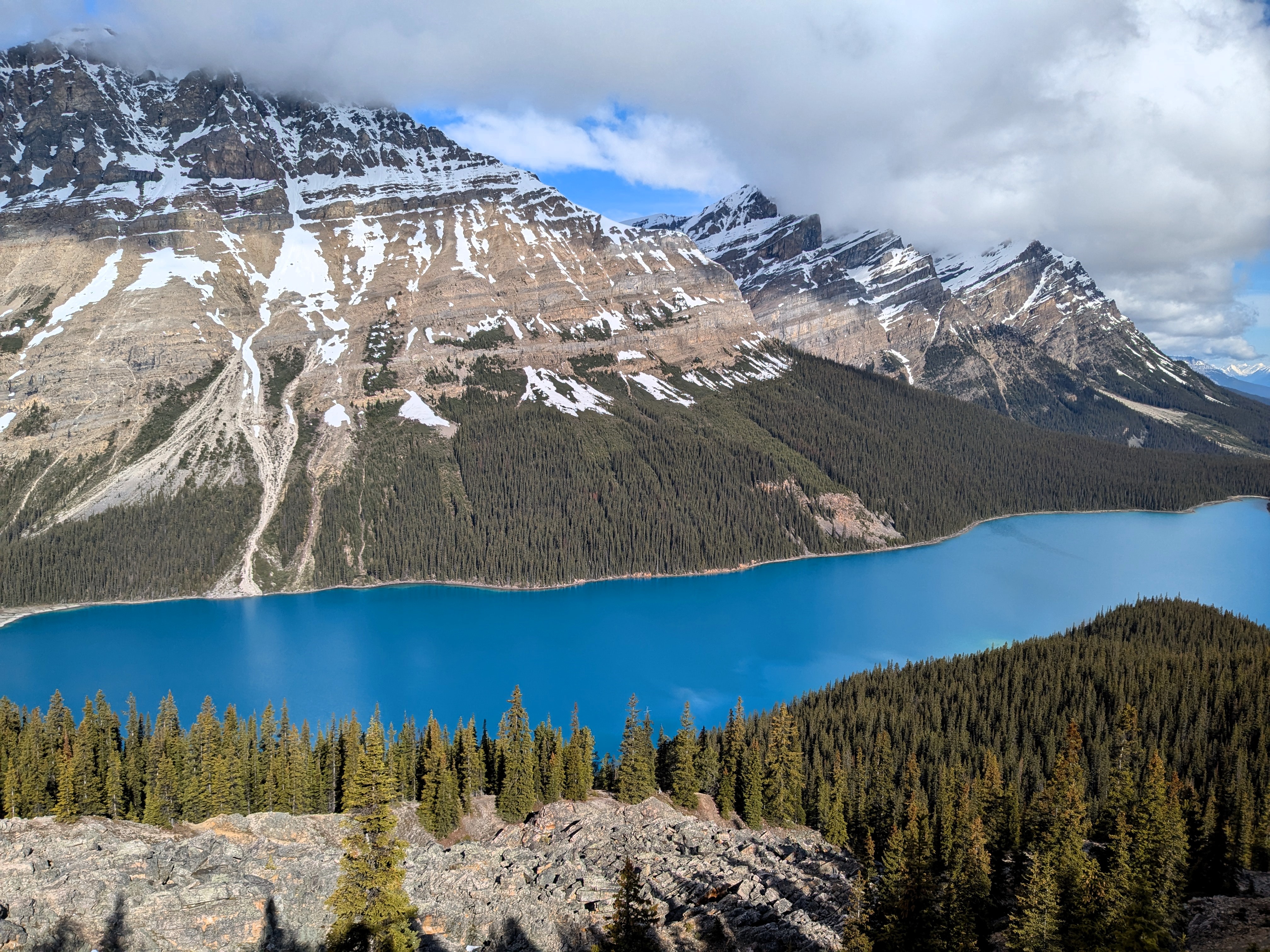 Peyto Lake in Alberta, Canada