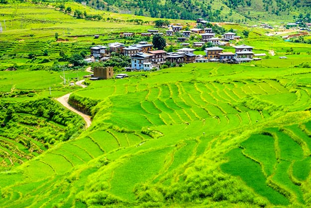 Forest-covered Bhutan valley with traditional houses