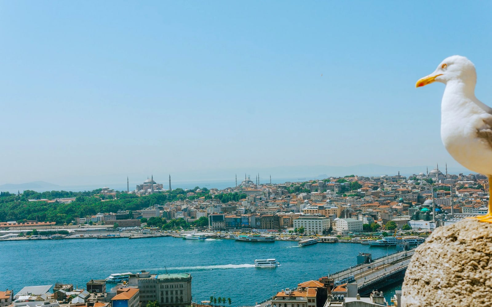 Best Things to Do in Istanbul: A Practical Travel Guide for First-Time Visitors
