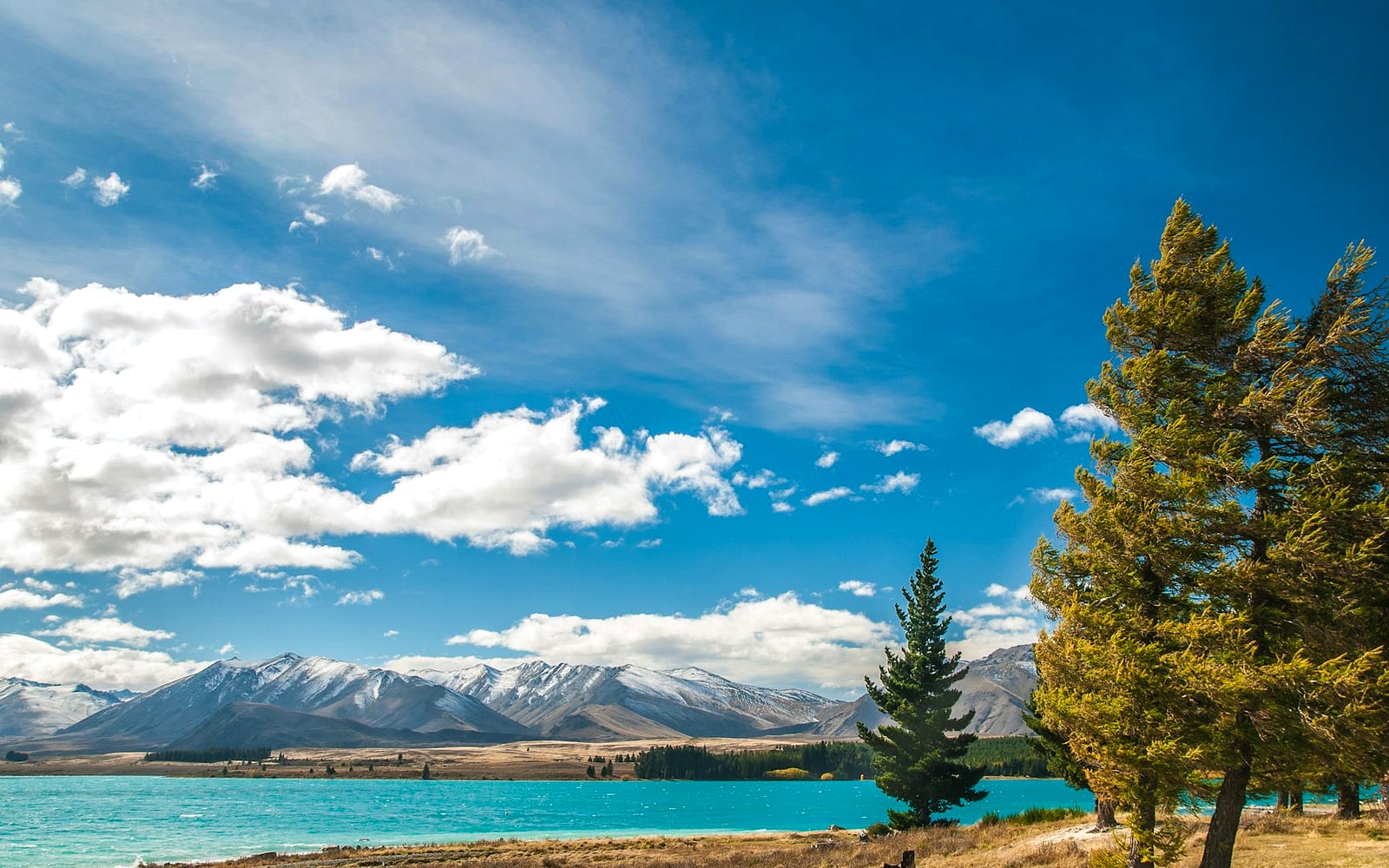 New Zealand Travel Guide: South Island vs North Island Explained